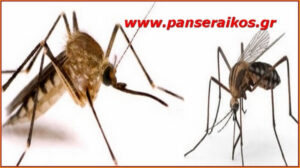 Τρίτος νεκρός