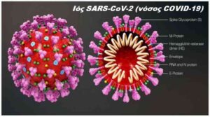 Ημερήσια έκθεση επιτήρησης κορωνοϊού _ Δε βρέθηκε ιικό φορτίο _ Οδηγίες