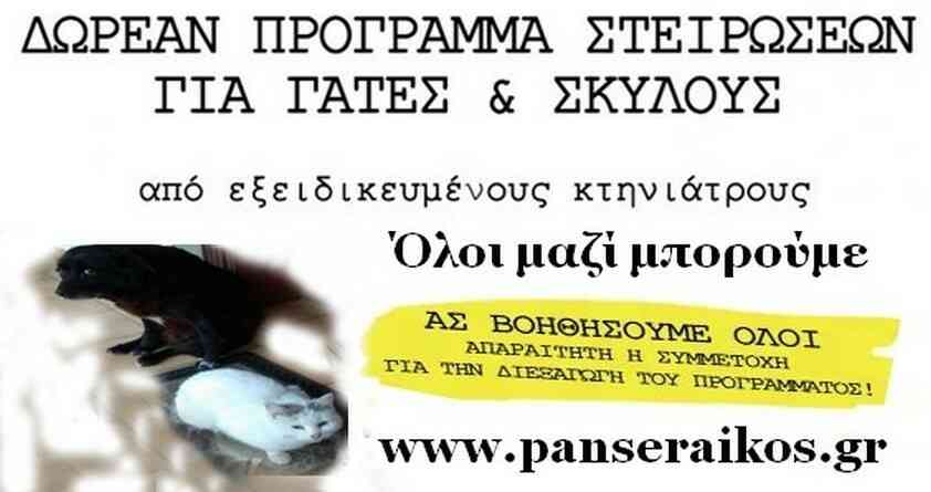 Δωρεάν πρόγραμμα στειρώσεων