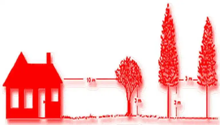 dasos_Δασικές_pirkagi_πυρκαγιές_visaltis Οδηγίες