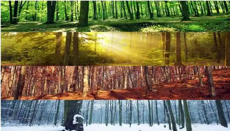 Πρόγνωση καιρού