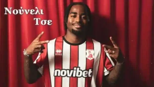 Νούνελι Τσε