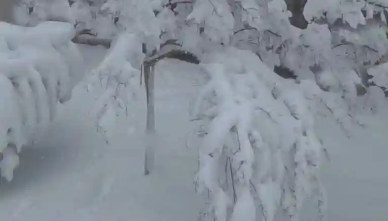 Ασθενείς χιονοπτώσεις